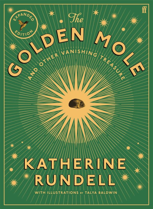 Golden Mole